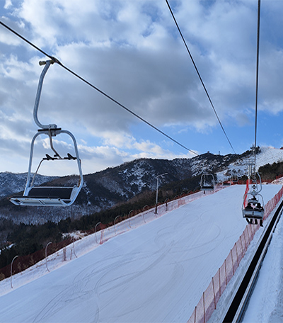 ��ѩ����